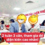 hoa hồng môi giới thổ cư thiên khôi
