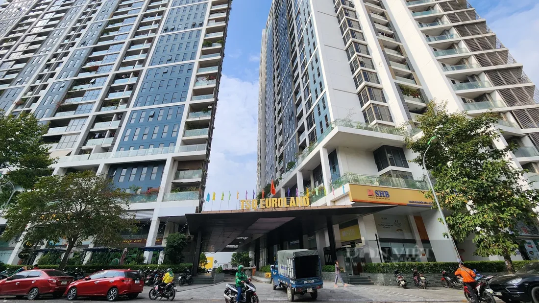 chung cư TSQ Euroland